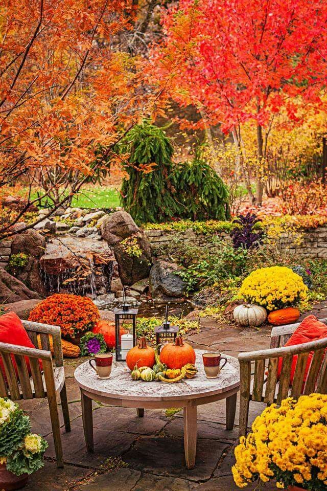 Creating a Year-Round Vibrant Garden - A Haven of Relaxation and Serenity