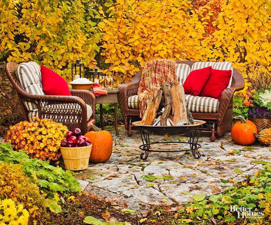 Pool and Patio Bliss: Creating a Colorful and Exciting Space with Plants