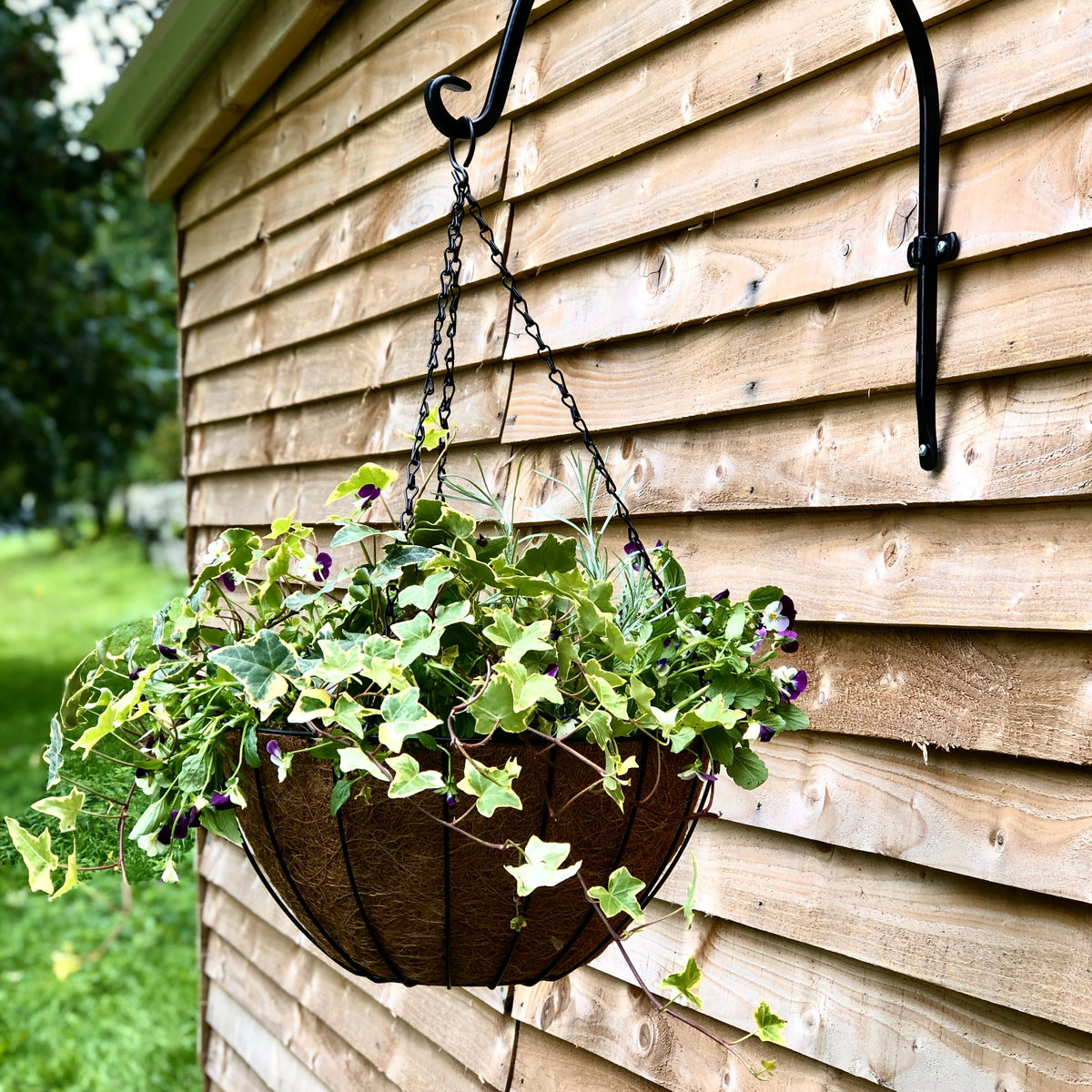 Metal Structures & Baskets for The Garden - Shipped — The Gardeners' Choice