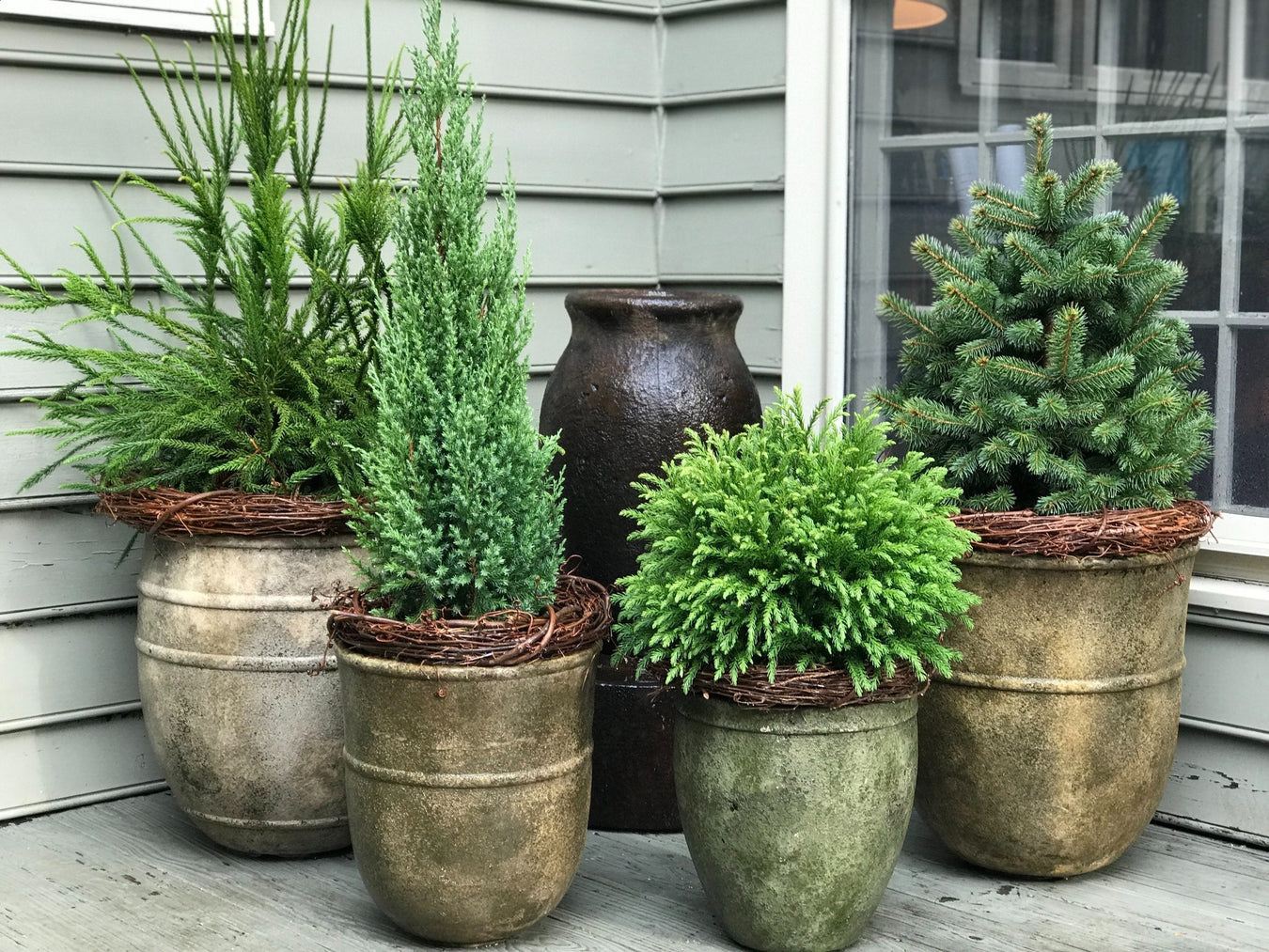 Outdoor Plants Delivered