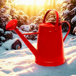 Watering Cans - Shipped