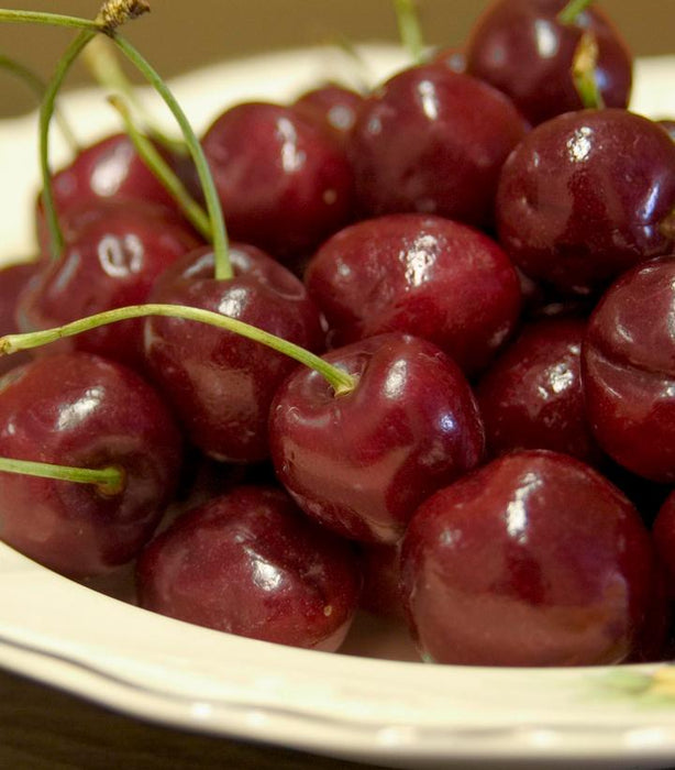 CHERRY (PRUNUS)`BING' - In Store Pickup