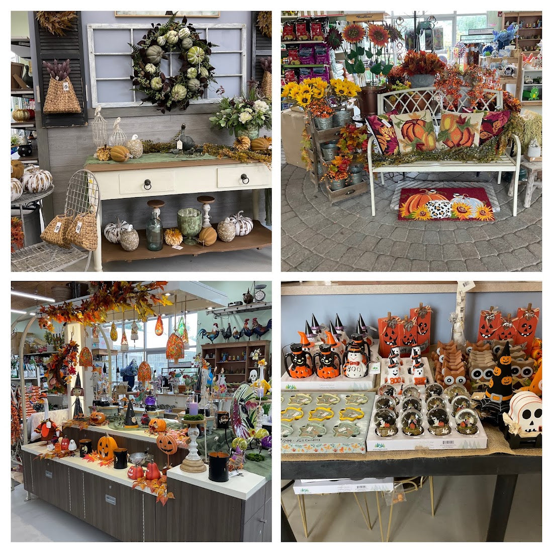 Fall is On The Way