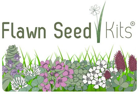 Flowering Lawn - Flawn Seed Kits (Micro Clover, Dutch White Clover, Crimson Clover) - In Store Pickup Only