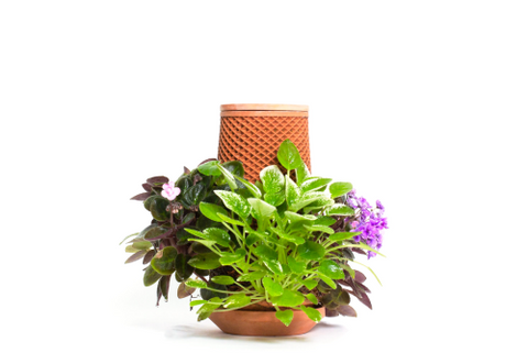 Tevaplanter : Self Watering Planter