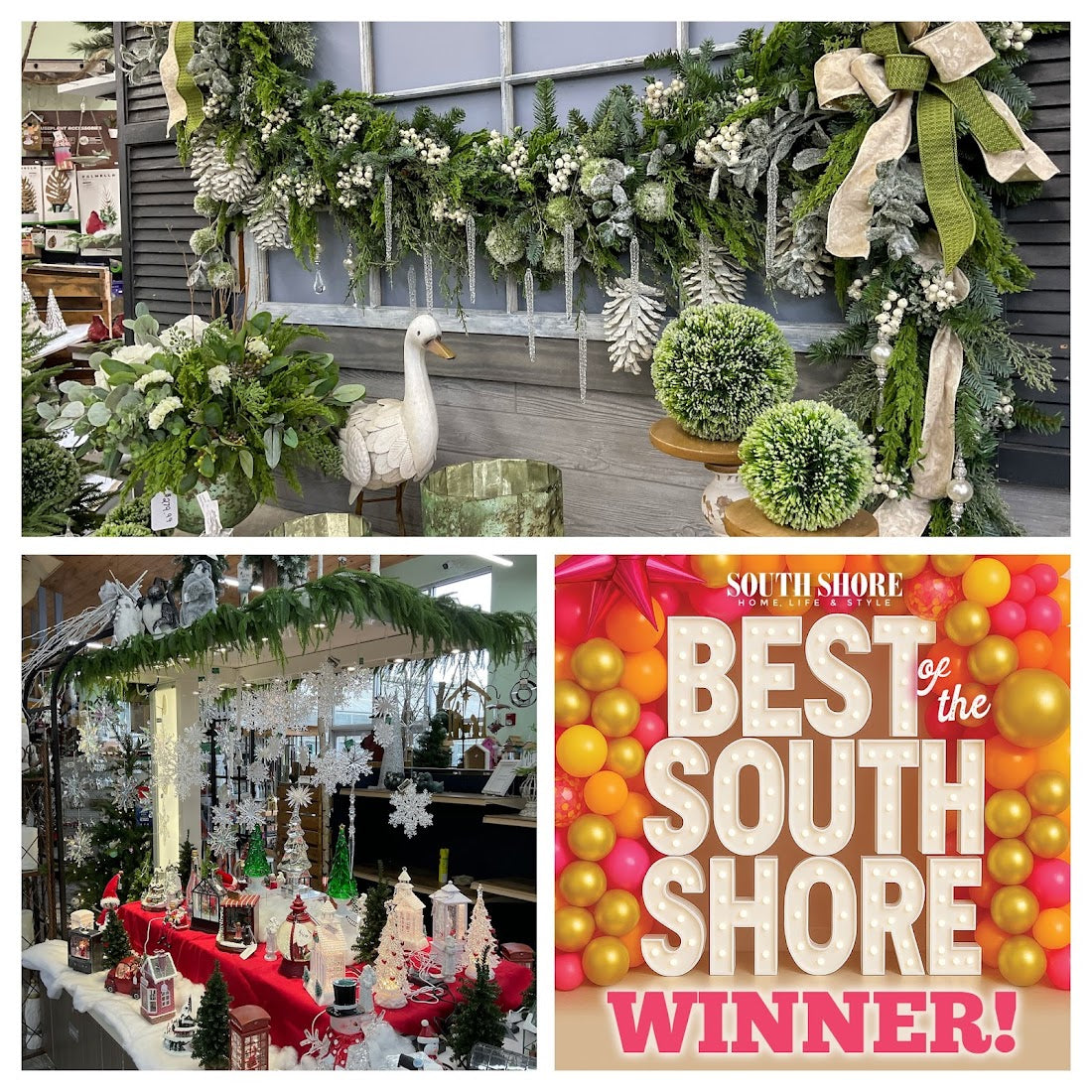 About The Gardeners' Choice