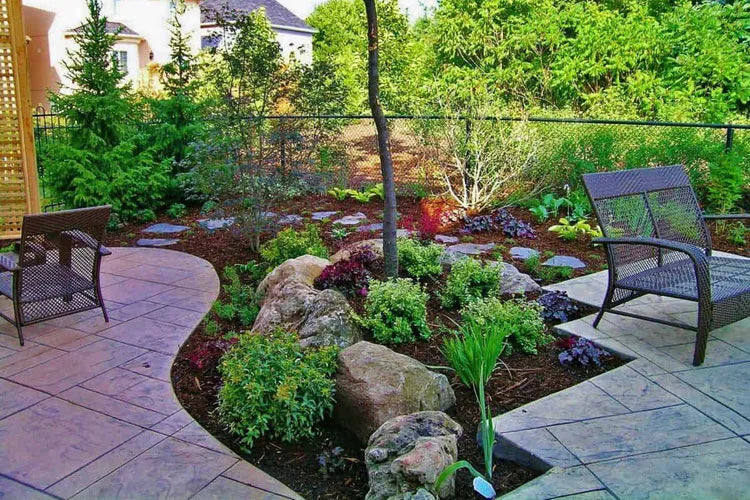 Low Maintenance Landscaping Plants