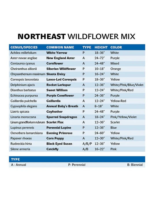 Mountain View Wildflower Seeds (Aromatic, Shady, Northeast and Hummingbird & Butterfly) - In Store Pickup Only