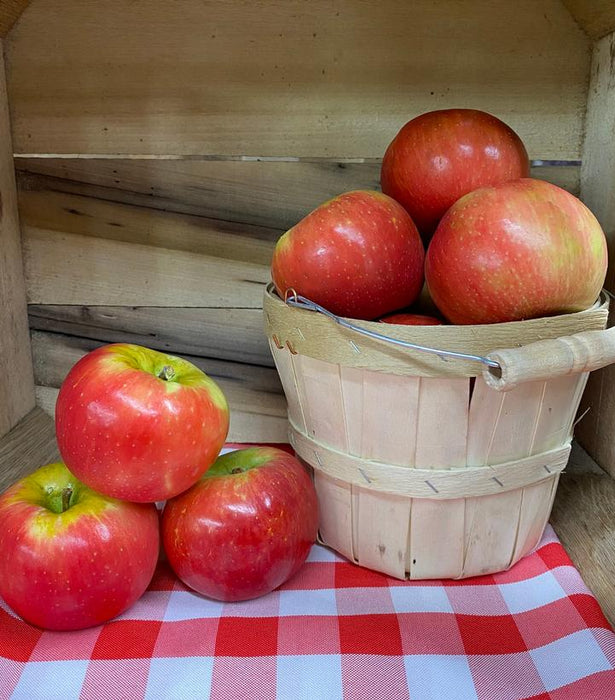 APPLE (MALUS) `ROYAL RED HONEYCRISP` - In Store Pickup