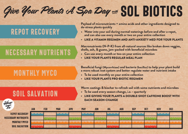 Sol Biotics - Repot Recovery - Repotting Shock Treatment