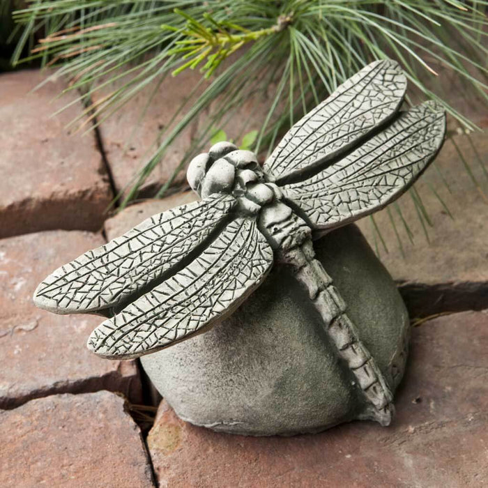 Dragonfly - Shipped