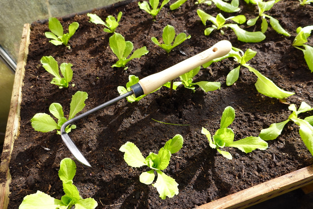 DeWit Weeder - Midsize Handle Right Hand