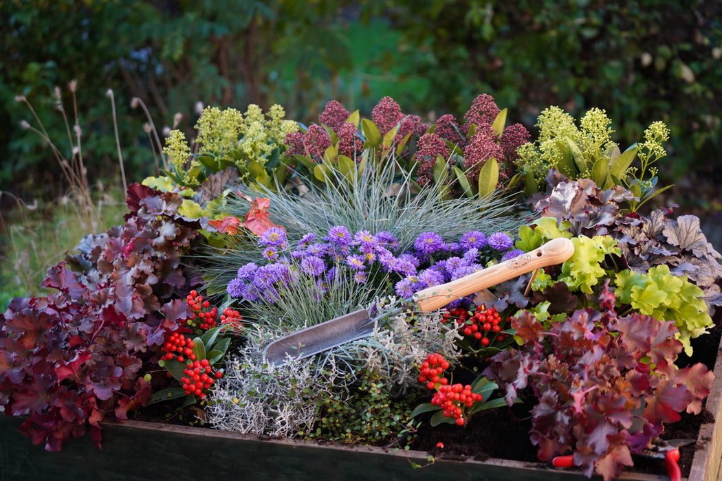 DeWit Rock-N-Root Trowel - Midsize Handle