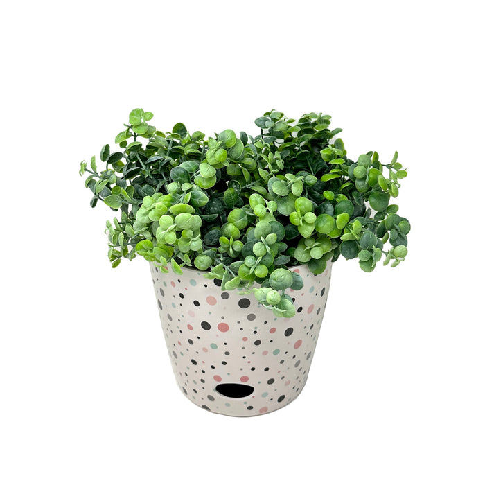 7" Dots Round Self-Watering Bamboo Pot