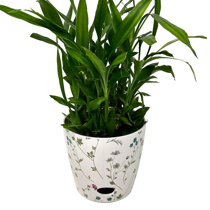 7" Wildflower Round Self-Watering Bamboo Pot