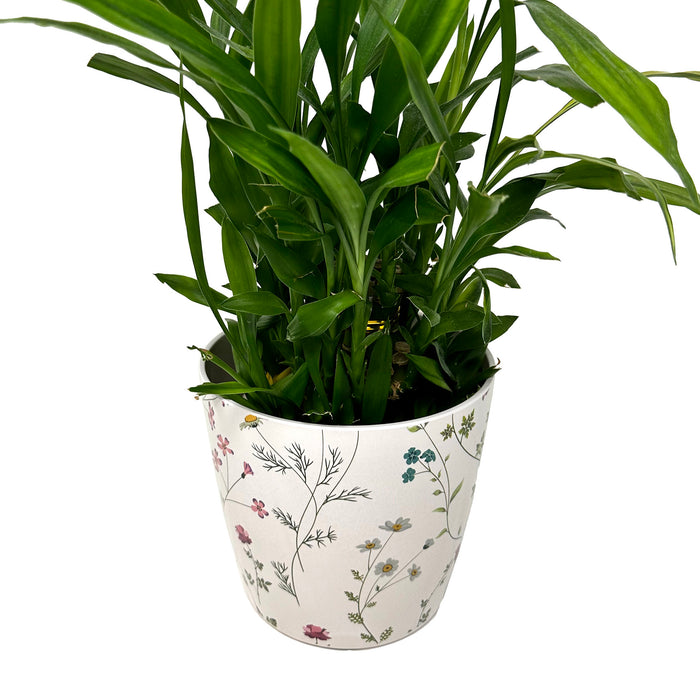 7" Wildflower Round Self-Watering Bamboo Pot