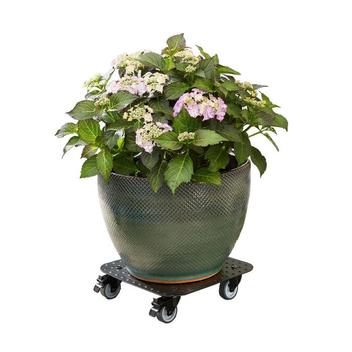 11.4" Black Square Aluminum Plant Caddy