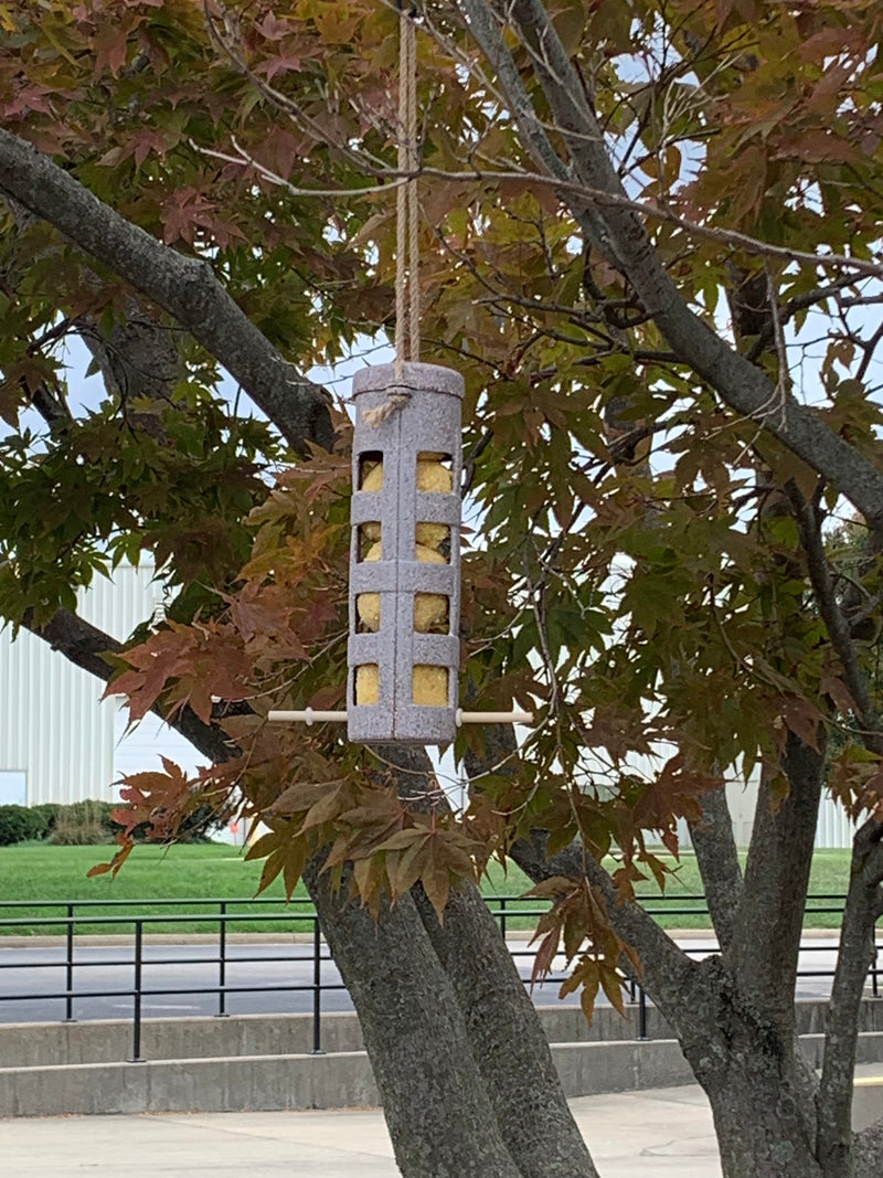 Suet Ball Feeder - Chaff