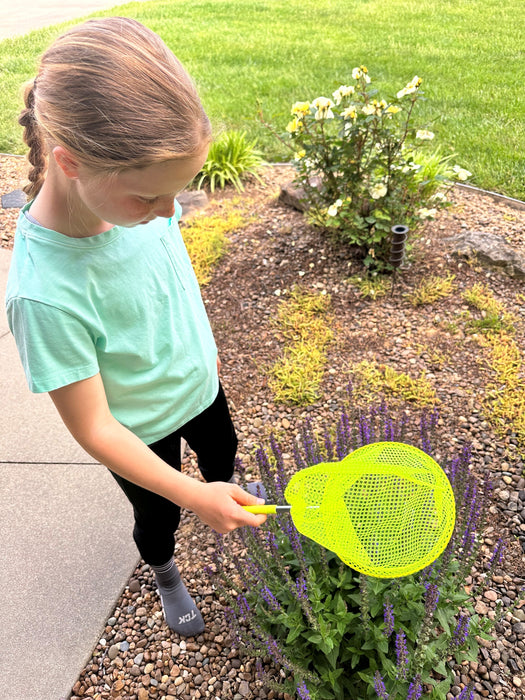 Little Pals Bug Watching Activity Kit