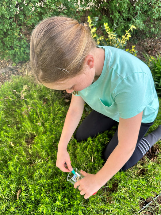 Little Pals Bug Watching Activity Kit