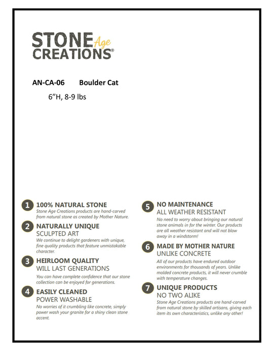 6" Boulder Cat