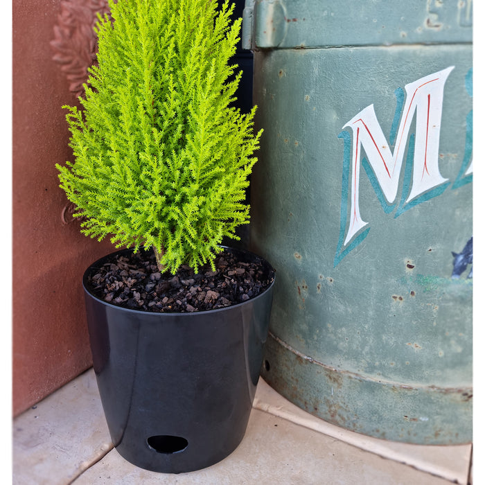 7" Black Round Self-Watering Bamboo Pot