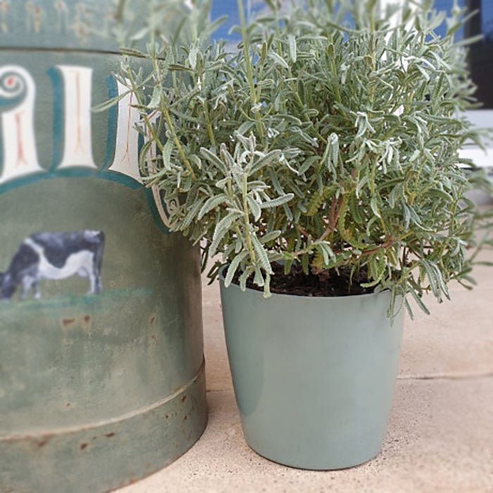 7" Sage Green Round Self-Watering Bamboo Pot