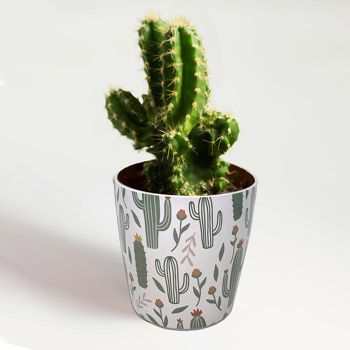 7" Cactus Round Self-Watering Bamboo Pot