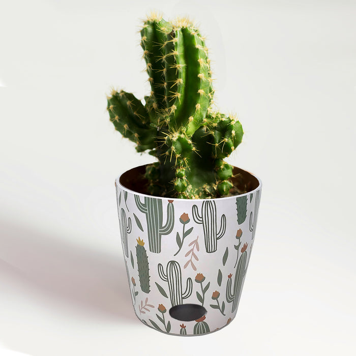 7" Cactus Round Self-Watering Bamboo Pot
