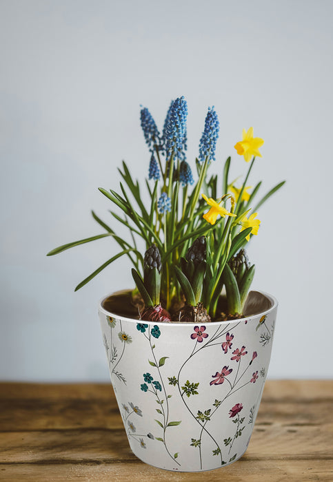 7" Wildflower Round Self-Watering Bamboo Pot