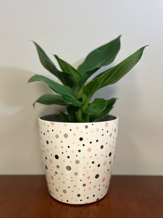 7" Dots Round Self-Watering Bamboo Pot