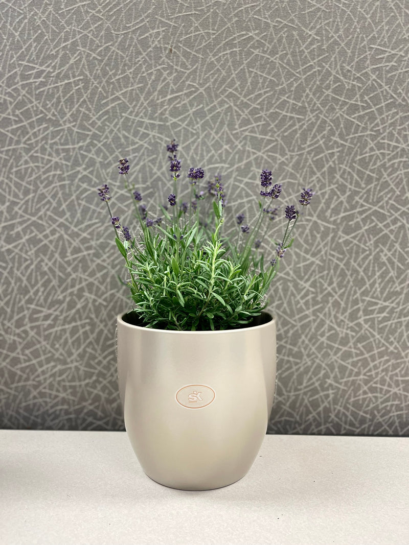 6.3" Gray Beige Metallic Ceramic Basel Elegance Pot