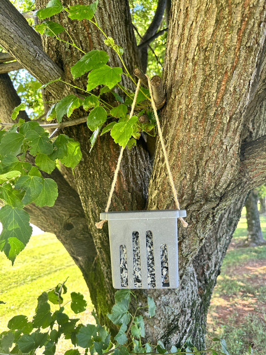 Suet Cake Feeder - Straw