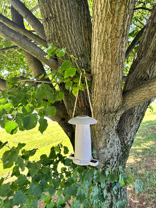 Seed Feeder - Chaff
