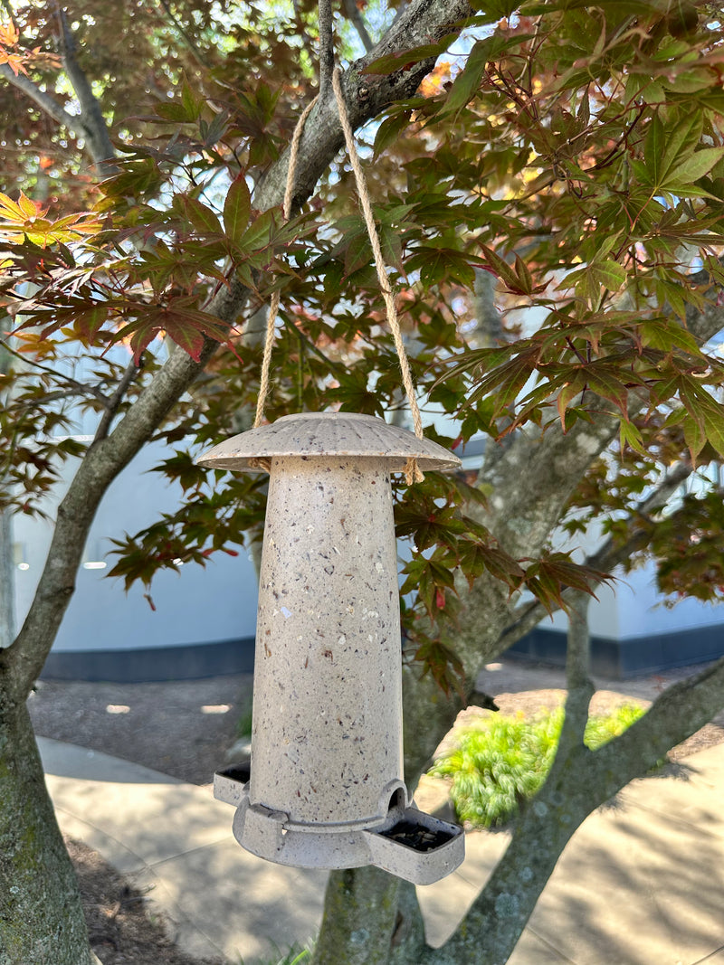 Seed Feeder - Coffee Husks