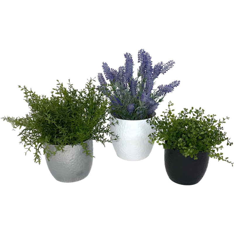 6.3" White 5.5" Silver 5.1" Anthracite 3 Piece Set of Ceramic Boston Pots