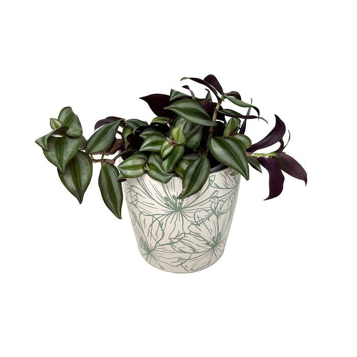 5" Green Flowers Round Self-Watering Bamboo Pot