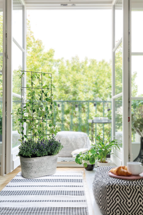 Trellis Vario Rectangle M