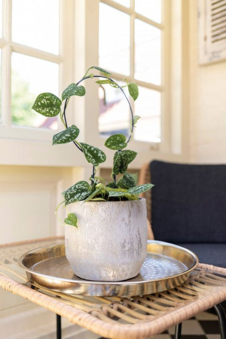 Pot Trellis Circle S