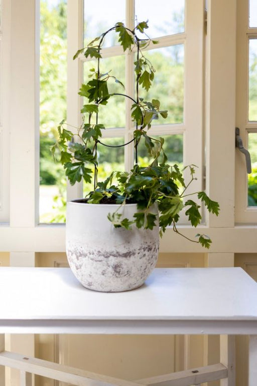trellis ideas for potted plants Pot Trellis Deco M