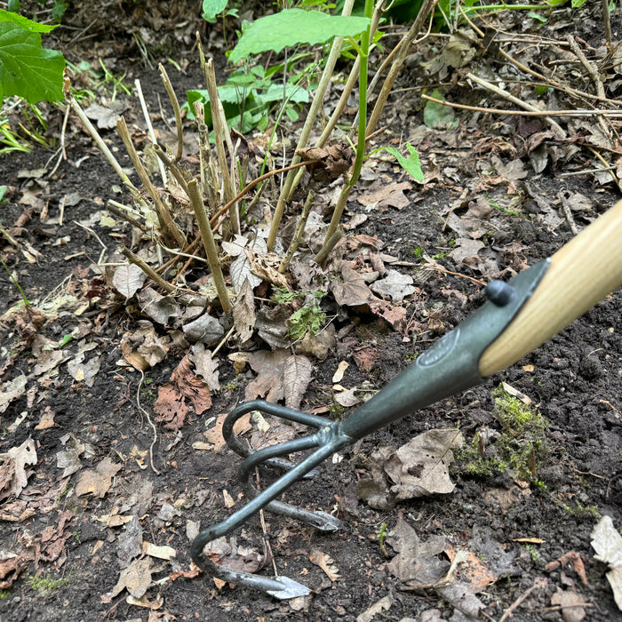 DeWit Cultivator - Flat 3-Tine Long Handle