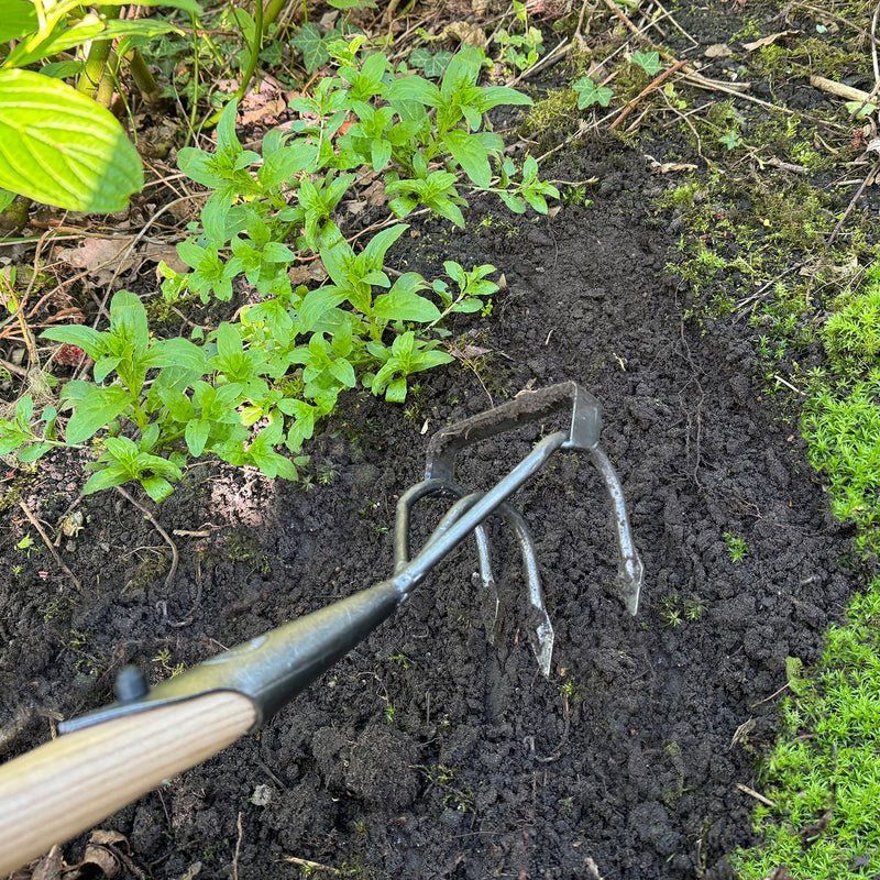 DeWit Hoe - Stirrup Long Handle