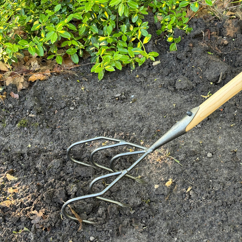 DeWit Cultivator - Flat 5-Tine Long Handle
