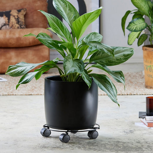 indoor plant caddy 11.8" Round Black Wire Plant Caddy