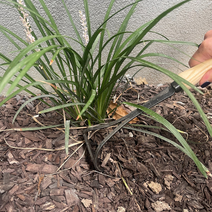 DeWit Cultivator - Bio Rake