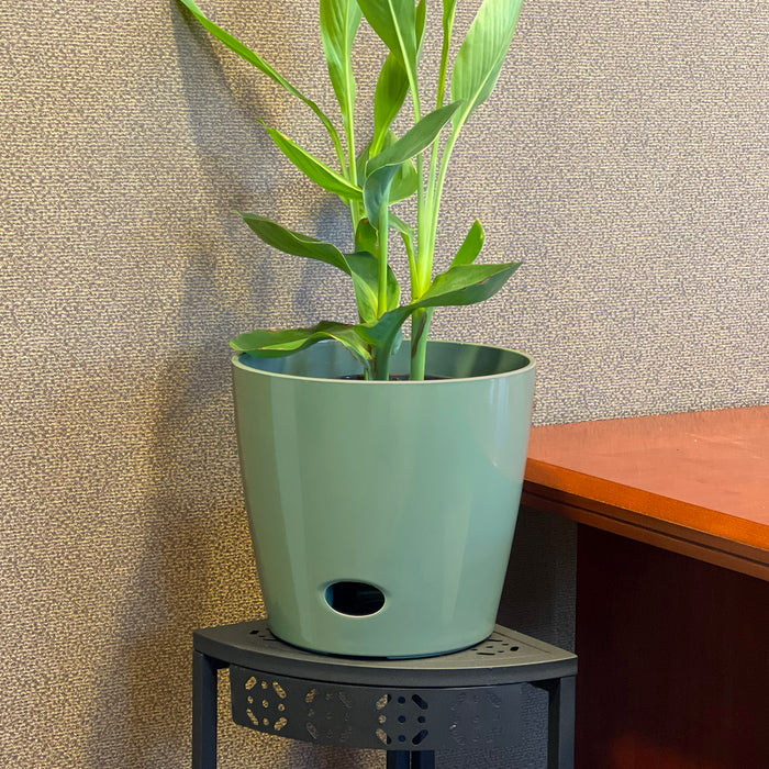 10" Sage Round Self-Watering Bamboo Pot