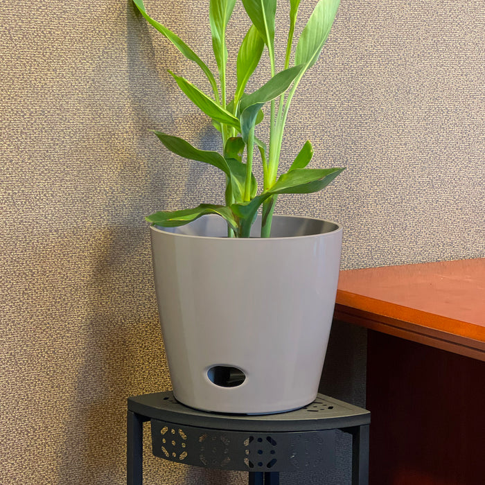 10" Gray Round Self-Watering Bamboo Pot