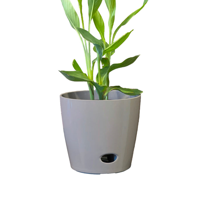 10" Gray Round Self-Watering Bamboo Pot