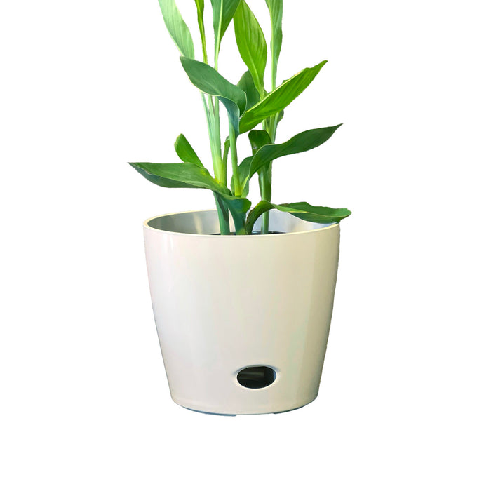 10" Cream Round Self-Watering Bamboo Pot
