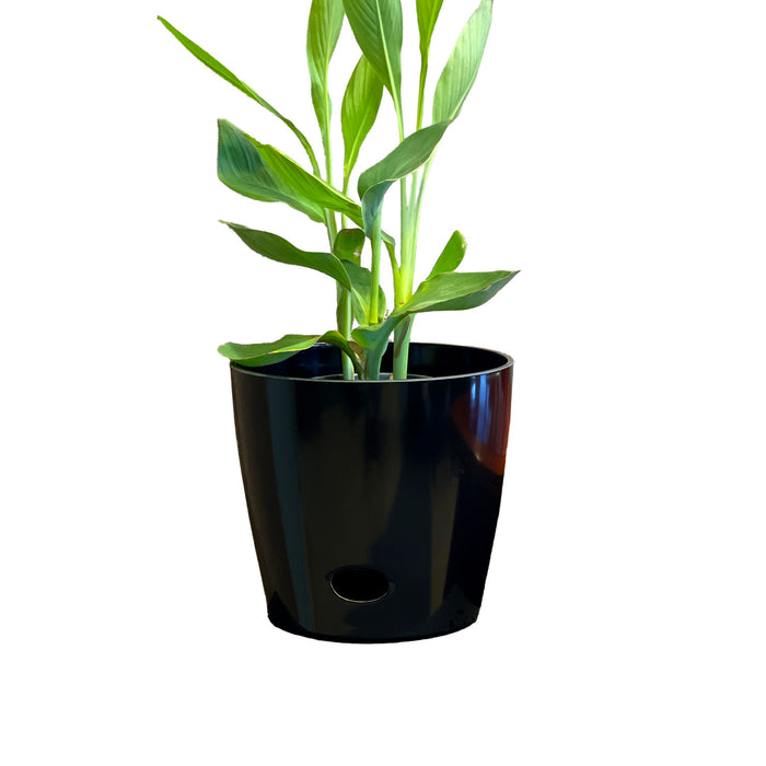 10" Black Round Self-Watering Bamboo Pot